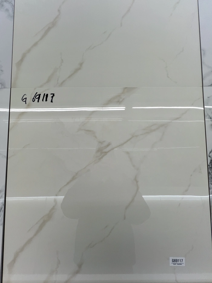 G69117
